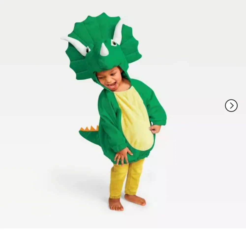 Dinosaur costume - Picture 1 of 5